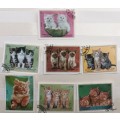 Sharjah - 1972 - Kittens - Set of 6 Cancelled Hinged Stamps, Plus 1 Pedigree Cat stamp