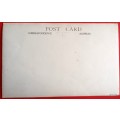 Vintage Photo Post Card - Oval picture - One lady