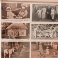 144 Picture Postcards of Her Majesty Queen Elizabeth II and her family. Compiled: Mary Dunkin