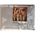 Cecil Skotnes - Ed: Frieda Harmsen - Soft cover