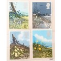 GB - 1979 - Spring Wild Flowers - Set of 4 Mint stamps