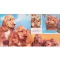 Nature Series: Puppies - Kathryn Spink - Hardcover