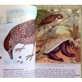 Bird Behaviour - John Sparks - Paperback