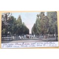 Post Card - 1st Ave, Kenilworth. Kimberley - Date Stamp: Woodstock 1910 (Publ: Handel House)