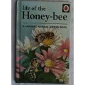 Life of the Honey-bee - A Ladybird Natural History Book - Hardcover