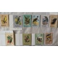 Barbados - 1979 - Birds - 10 Mint stamps