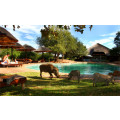 BARGAIN!! Midweek (4 nights) at Mabalingwe Nature Reserve (Limpopo) for 4 (July 23 to 27)