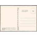 Post Card - Protea Colour Prints - REF C13- Cango Wonder Caves- Unused