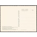 Post Card - ABC Press Plettenburg Bay- REF 411 A- Unused