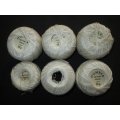 6 balls of HUMBER- Knitting Thread- 14/3