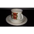 Cup and Saucer- Continental China Vitreous-Made in South Africa-Mix and Match