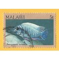Malawi -Used-Cancel-Thematic-Fauna-Fish