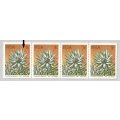 RSA-1977 SACC435a-Coil-1c-Protea-Strip of 4-MNH-Thematic-Flora-Protea-Variety-Lines