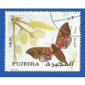 Middle East- Fujeira- Used- Thematic- Fauna- Moth