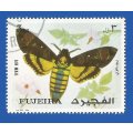 Middle East- 1972 Moths  Fujeira- Used- Thematic- Fauna- Moth