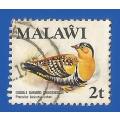 Malawi 1975 Birds Pterocles bicinctus usheri -Used-Thematic-Fauna-Birds
