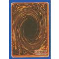 YU-GI-OH Trading Card Game-KARUMANSODO-Dark-ATK-2550-DEF-2150