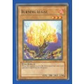 YU-GI-OH Trading Card Game-Konami-1st Edition-Burning Algae-ATK-500-DEF-1500