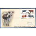 RSA-FDC-1997-SACC 6.64-South African Indigenous Cattle-Addressed-Thematic-Fauna-Cattle