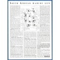 RSA-2001-MNH-SACC1465-South African Marine Life-Sheetlet-Thematic-Fauna-Marine Life-Fish