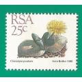 RSA-Stamp-Single-MNH-1988-25c-5th Definitive Issue-Thematic-Flora-Succulents Perf Shifted down