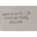 Shorter and Son- 1930`s Stoke on Trent-England-Fish Plate-Small (19cmx17cm)
