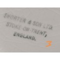 Shorter and Son- 1930`s Stoke on Trent-England-Fish Plate-Small (19cmx17cm)