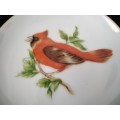 Display plate. Red Crested Finch from S. America. No Name. 10.5cm in Diameter