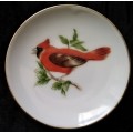 Display plate. Red Crested Finch from S. America. No Name. 10.5cm in Diameter