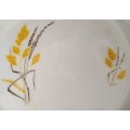 Pioneer Porcelain `WHEAT` Dinner plate 25cm Diameter 1 of 3