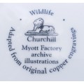 Collectable Plate-Wildlife Churchill-Myott Factory Archive Illustrations-Anas Platyrhynchos