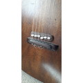 Guitar - Hand Built Nylon String