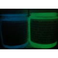 Permanent Glow-In-The-Dark Paint Twin Pack