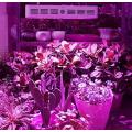 1000W PLANT GROW LIGHT...EXTRA GROWING TIME...HIGH CROP YIELD !!