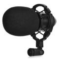 CONDENSER MICROPHONE COMBO - WITH EXTENSION ARM MOUNT.... JANUARY BARGAIN BUY !!