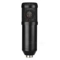 CONDENSER MICROPHONE COMBO - WITH EXTENSION ARM MOUNT.... JANUARY BARGAIN BUY !!