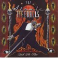 THE ATOMIC FIREBALLS - Torch this place (CD) 83167-2 EX