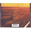 STARSAILOR - Love is here (CD) cdp 7243 5 36448 2 6 NM