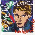 DAVE WAKELING (from the Beat) - No warning (CD, cut out in spine) X2 13085 EX