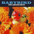 BABYBIRD - There`s something going on UMD 80517 NM
