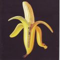 dandy warhols welcome to the monkey house rar dandy warhols welcome to the monkey house rar
