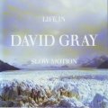 DAVID GRAY - Life in slow motion (CD) 5050467 9766 2 7 -iht  NM