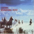 CATATONIA - International velvet (CD) 3984208342 NM-