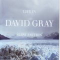 DAVID GRAY - Life in slow motion (CD) ATCD 10182 NM-