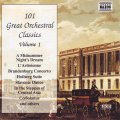101 GREAT ORCHESTRAL CLASSICS - Volume 1 (CD) 8.551141