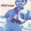 WALTER BECKER - 11 tracks of whack (CD) CDGNT(WF)012 EX