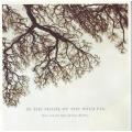 NIBS VAN DER SPUY & GUY BUTTERY - In the shade of the wild fig (CD) SLCD 256 NM