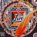 LIVE - The distance to here (CD) STARCD 6515 NM