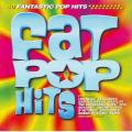 FAT POP HITS - Compillation (double CD) RADCD135 VG
