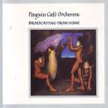 PENGUIN CAFE ORCHESTRA - Broadcasting from home (CD) EEGCD 38 VG+